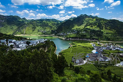 你了解酒的分類(lèi)嗎