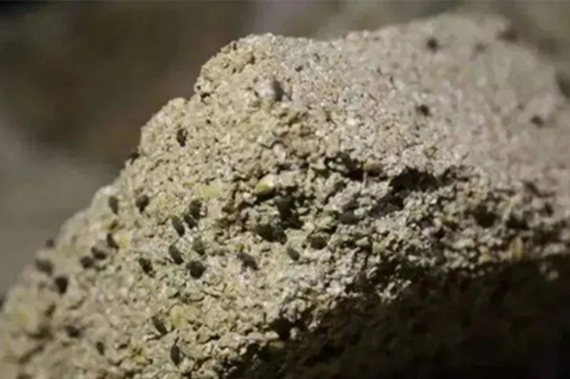 曲蚊在醬香白酒生產過程中作用是什么?